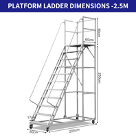 Échelle mobile multifonctionnelle avec plateforme de travail, passerelle industrielle, escalier en acier, design moderne pour usage en entrepôt