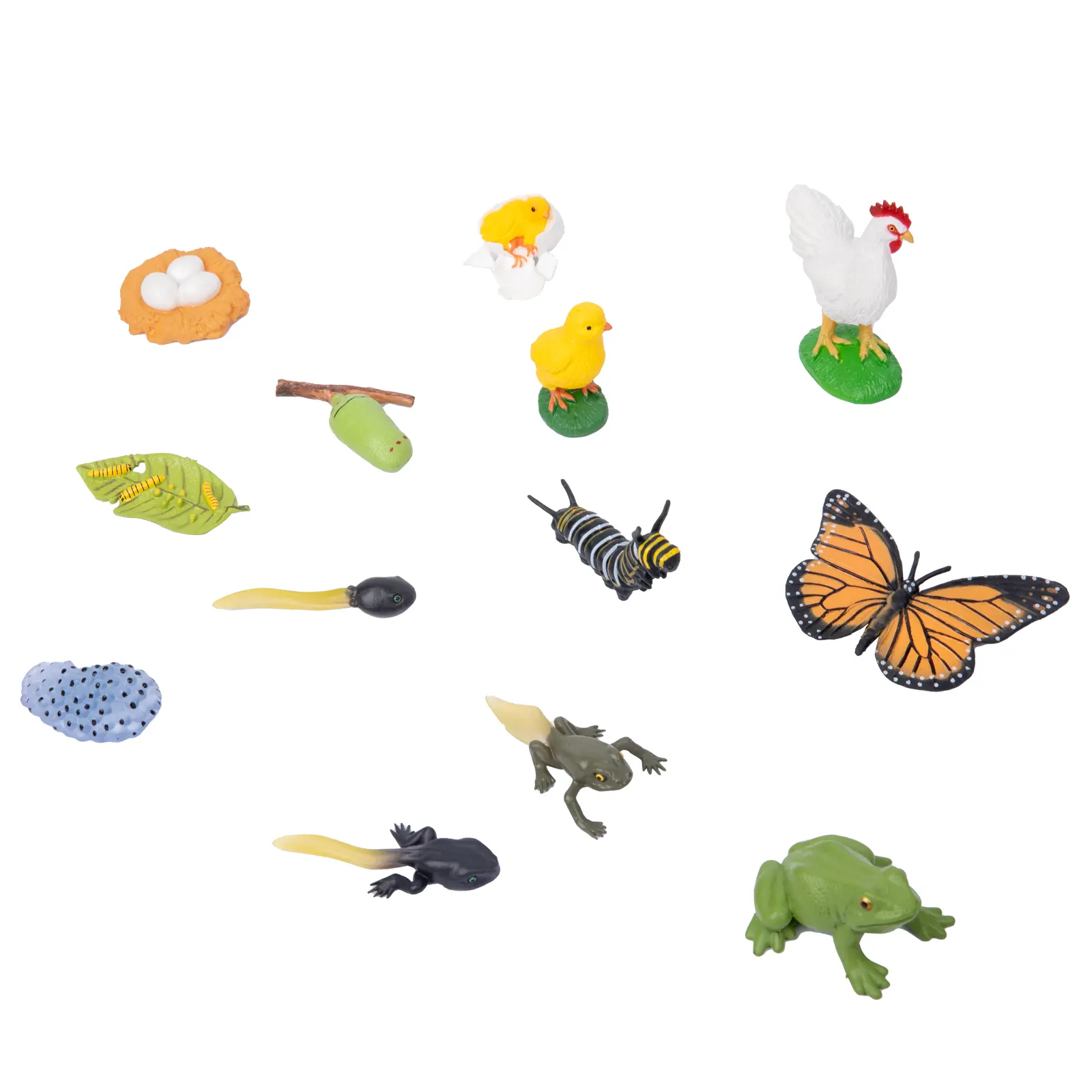 モンテッソーリ科学動物および植物モデルライフサイクルボード両面ディスクモンテッソーリ幼稚園早期教育玩具