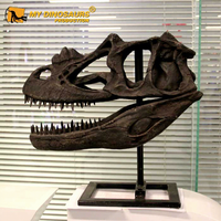 MY DINO DS027 Tête de dinosaure squelette pour exposition de fossiles en parc d'attractions extérieur à vendre