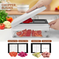 Ensemble de hachoir à légumes multifonctionnel, mandoline, trancheuse, lames en acier inoxydable, récipient en PP, coupe-légumes pour la cuisine