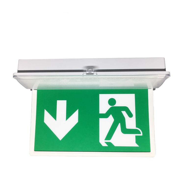 High quality Factory Sale Dekra CE Listed IP65 Led exit emergency lighting