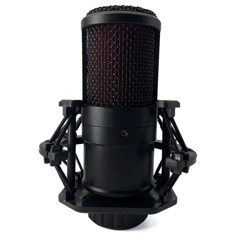 Professionele Oem Aangepaste Studio Monitoren Luidspreker Microfoon Club Broadcast Opname Mic