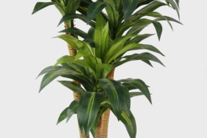 Tanaman buatan gaya Nordic baru kualitas tinggi wewangian drakaena 3 tiang 3 kepala 137 daun <span class=keywords><strong>175cm</strong></span> tanaman hijau Bonsai
