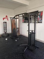 Machine de musculation professionnelle à double câble croisé avec pile de poids de 100 kg, poulie réglable, équipement de gym en fer pour la musculation