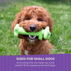 Giocattolo Interattivo Innovativo ed Ecologico per Cani, in Gomma Resistente al <span class=keywords><strong>Latex</strong></span>, con Sapore di Manzo e Suono Squittente - Product Image 5