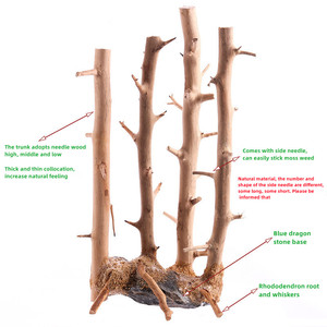 Dérive <span class=keywords><strong>bois</strong></span> naturel forêt branche ornement <span class=keywords><strong>bois</strong></span> <span class=keywords><strong>flotté</strong></span> bonsaï arbre aquarium paysage aquarium reptile décoration - Product Image 2