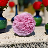 Tête de fleur de pivoine naturelle préservée de haute qualité, pivoine éternelle au toucher réel pour bouquet de mariage, décoration intérieure, cadeau