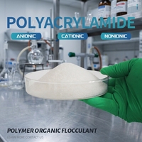 Polímero de Poliacrilamida en Polvo, Floculante PAM, Agente Auxiliar Químico Orgánico para el Tratamiento de Agua