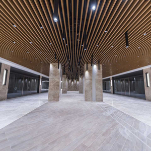 Nhôm Gỗ vách ngăn gạch Trần sơn tĩnh điện chống thấm cách âm chống cháy cho phòng tập thể dục khách sạn ngoài trời thiết kế hiện đại - Product Image 3