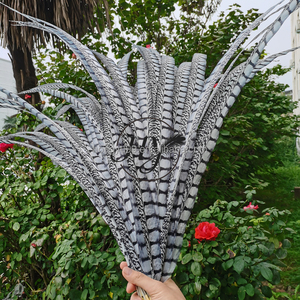 Plumas Artificiales <span class=keywords><strong>de</strong></span> Faisán Lady Amherst <span class=keywords><strong>de</strong></span> 80 cm <span class=keywords><strong>de</strong></span> Largo en Oferta, para Carnaval, Tocados <span class=keywords><strong>de</strong></span> Samba, Decoración <span class=keywords><strong>de</strong></span> Mochilas - Product Image 2
