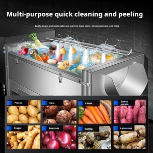 It has an efficient spray fruit and <b>vegetable</b> cleaning machine which is used for peeling and cleaning fruits carrots potatoes - Product Image 6