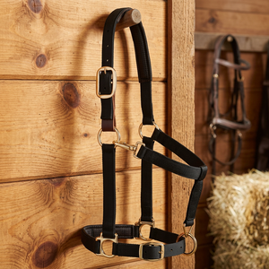 SAISHAS Harnais de Selle Anglaise pour Cheval, en Nylon Durable avec Muserolle Rembourrée, Quincaillerie en Cuir Robuste, Confortable pour Usage Quotidien, Personnalisable - Product Image 3