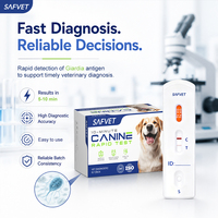 Kit de test rapide vétérinaire GIA Ag Giardia, kit de test rapide de l'antigène fécal pour chiens et chats, détection en 5 à 10 minutes, vente en gros vétérinaire