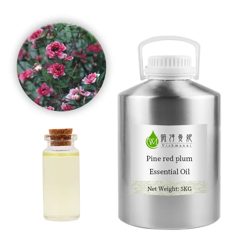 Bestseller Pine Red Pflaumen öl OEM/ODM Pure Essential Oil Factory Lieferant