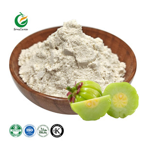 Fruiterco Garcinia Cambogia Extrait Poudre 60% Acide Hydroxycitrique HCA Poudre Garcinia Cambogia Extrait - Product Image 1