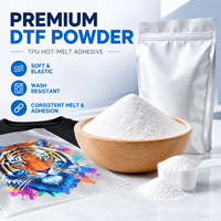 Poudre DTF à haute élasticité, forte adhérence, agréable au toucher, colle thermofusible TPU, polyuréthane pour DTF