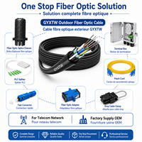 Câble à fibres optiques extérieur GYXTW 24 cœurs, blindé avec bande d'acier, tube lâche