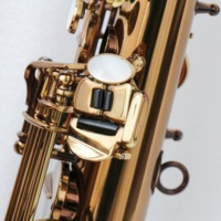Saxophone alto professionnel Focustyle, corps en laiton, plaqué or café, tonalité EB, modèle FAS-500MKVI