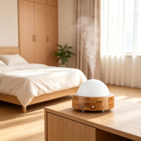 Diffuseur d'arômes ultrasonique de table, type USB, facile à déplacer, avec lumière nocturne à 7 couleurs, humidificateur d'huiles essentielles pour aromathérapie