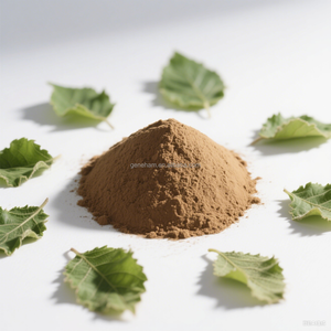 Precio de fábrica 5% DNJ 1-Deoxynojirimycin Halal certificado Extracto de hoja de morera Suplemento HPLC Probado Bolsa a granel Almacenamiento de latas de tambor - Product Image 5