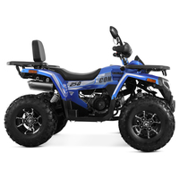 Tao Motor 2025 Nouveau Design Transmission par Chaîne 4x2 250cc ATV Quad Bike Chine Pas Cher Vente en Gros Cuatrimotos ATV 250cc avec EPA CE