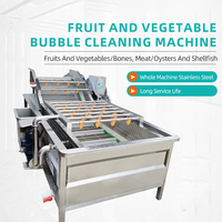 Groente- en fruitwasmachine met luchtbellen, SS304 staal, CE-gecertificeerd.