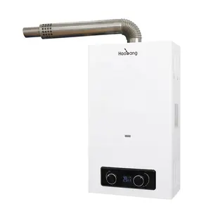 OEM ODM High Efficient Easy Installation 10L 12L Balanced Exhaust Gas Water Heater Boiler