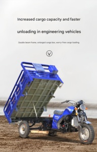Tricycle à essence <span class=keywords><strong>pour</strong></span> passagers XF 250cc avec cabine fermée, moto-taxi <span class=keywords><strong>pour</strong></span> adultes, garantie <span class=keywords><strong>1</strong></span> <span class=keywords><strong>an</strong></span>, moteur XF - Product Image 6