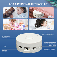 Offre Spéciale : Ours en Peluche Enregistreur Vocal Miniature – 195 Secondes, Batterie Lithium Rechargeable, Enregistreur Vocal à Bouton Poussoir, Jouet en Peluche