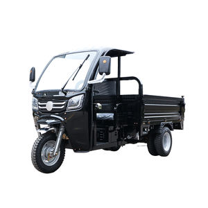 Tricycle électrique de transport lourd 3PLUSCOCO 1500W, 2 <span class=keywords><strong>places</strong></span>, carrosserie ouverte, charge utile 200-300 kg, autonomie 30-50 km, homologué CEE - Product Image 1
