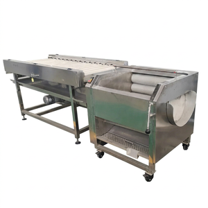 Nouvelle plante betteraves manioc Machine à laver qualité brosse Type manioc tubercule lavage et épluchage Machine de traitement - Product Image 1