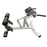 Chaise romaine de qualité professionnelle pour l'extension du dos et les curls des ischio-jambiers, appareil multifonctionnel pour le renforcement du tronc