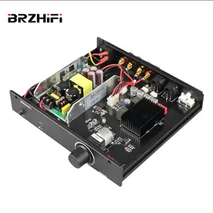 BRZHIFI nuevo producto DAC TPA3255 XLR Clase D totalmente equilibrado Hifi Audio audiófilo estéreo 2 canales amplificador Digital