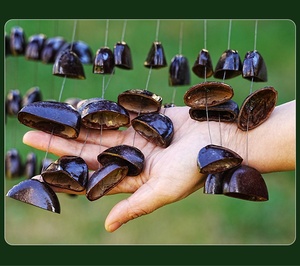 High Quality Natural Nut Shell Wind <b>Chime</b> <b>Bell</b> for Home Decor Healing Instrument for Sound Therapy Outdoor Ornament - Product Image 6