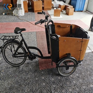 Triciclo Eléctrico Familiar con Caja de Pasajeros de Madera, Motor de 250W de Tracción Media, Transporte Seguro para Niños, para Desplazamientos Urbanos en Europa - Product Image 2