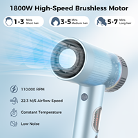 Sèche-cheveux ionique haute vitesse 110000 tr/min avec moteur AC, professionnel pour salon et hôtel, séchoir à cheveux puissant pour voyage en extérieur, séchage rapide