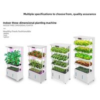 Système de culture hydroponique verticale intelligent pour la culture hors-sol de légumes, pour usage domestique, avec plusieurs niveaux pour la germination des semis