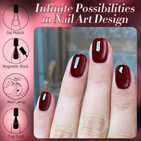 BORN PRETTY Fabricant 10ml Vernis à Ongles Magnétique Effet Œil de Chat Couleur Foncée OEM Gel Vernis Rouge Hiver Effet Œil de Chat pour Nail Art de Noël