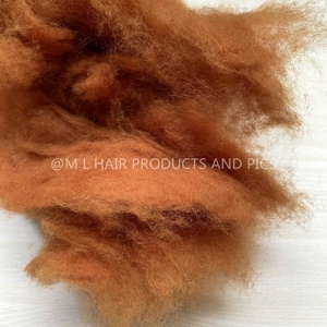 100% 양모 중국 양 dehaired 캐시미어 울 22mic 염색 무료 샘플 - Product Image 4