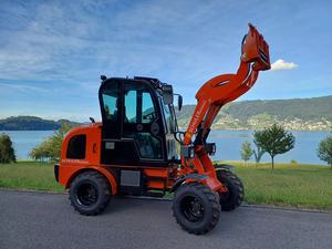 Колесные мини-погрузчики Wolf mini780T, цена для фермерского сада, дома - Product Image 6