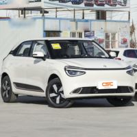 Modelo 2024 Nano 01, Auto Eléctrico Pequeño, Confiable y Duradero, Vehículo de Nueva Energía, Certificado EEC/COC