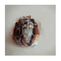 Soraj Enterprises – Lot de 100 petites plumes teintées sélectionnées à la main pour projets artisanaux uniques, décorations de fêtes, de maison et de mariage