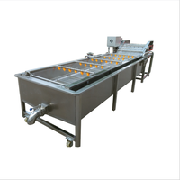 Nieuwe industriële motor aangedreven fruit- en groente ozonbelwasmachine voor gebruik in de condimentenindustrie
