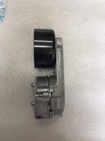 PQG500030 LHP500110 C2C36146 C2S45579 LHP500100 LR016139 Tendeur de courroie Range Rover