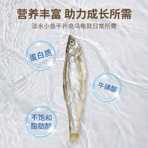 Nourriture pour tortues, petits poissons séchés, poissons d'eau douce lyophilisés, collation pour animaux de compagnie, riche en protéines, pour favoriser la croissance des reptiles - Product Image 1