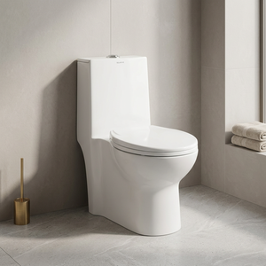 WC monobloc moderne en céramique blanche avec siphon en P, chasse d'eau double, à poser au sol, pour Dubaï - Product Image 5