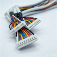 Assemblage de câble personnalisé de haute qualité Jst Xh 2.54mm 2/3/4/6/8 broches connecteur faisceau de câbles câble marché de gros à faible quantité minimale de commande