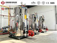 Générateur de vapeur à gaz et à mazout LHS 300 kg/h, prix usine, certifié CE, chaudière à tubes frésés basse pression pour la stérilisation en cuisine en Afrique