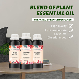 Proveedor de Recambios de Aceite Aromático para Difusor de Aromas para el Hogar HL Aroma, Inspirado en el Aroma California Love de <span class=keywords><strong>Delano</strong></span> |   Colección de Hotel, 500ML - Product Image 2