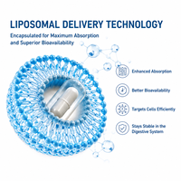 Complément Liposomal NAD+ OEM en Capsules Végétariennes pour Soutenir la Fonction Mitochondriale et la Santé Cellulaire des Adultes – Marque Privée